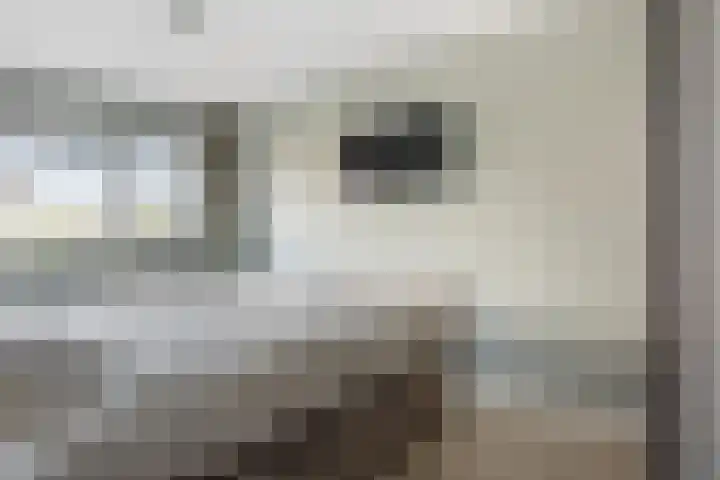 Poortugaalstraat 13 Zoetermeer thumbnail 9