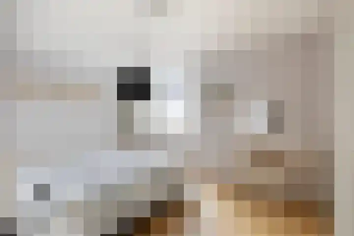 Poortugaalstraat 130 Zoetermeer thumbnail 15