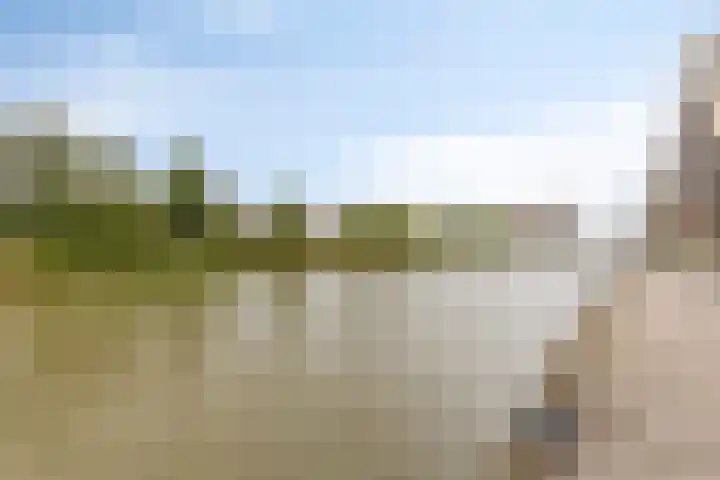 Poortugaalstraat 130 Zoetermeer thumbnail 30
