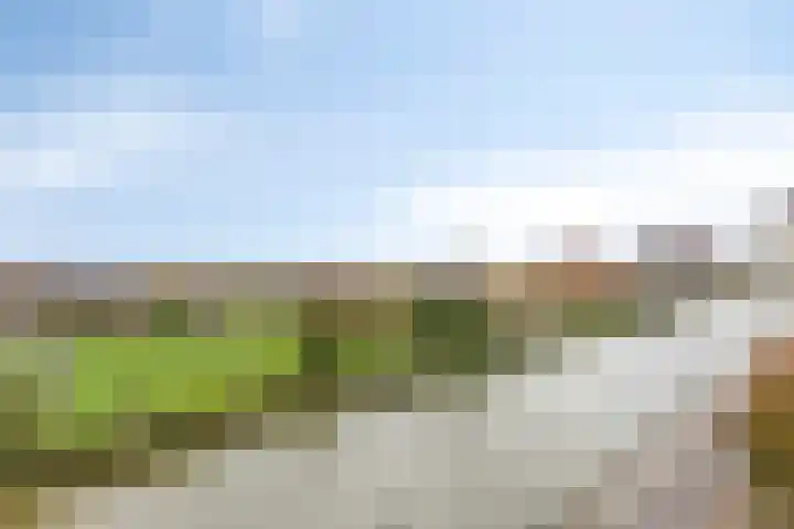 Poortugaalstraat 130 Zoetermeer thumbnail 4