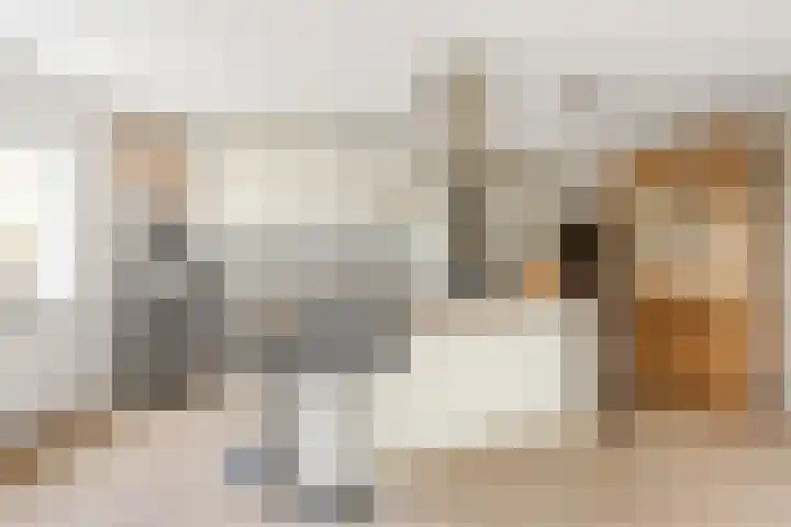 Poortugaalstraat 156 Zoetermeer thumbnail 10