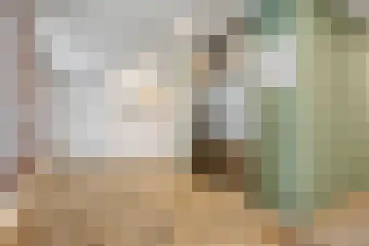 Poortugaalstraat 156 Zoetermeer thumbnail 26