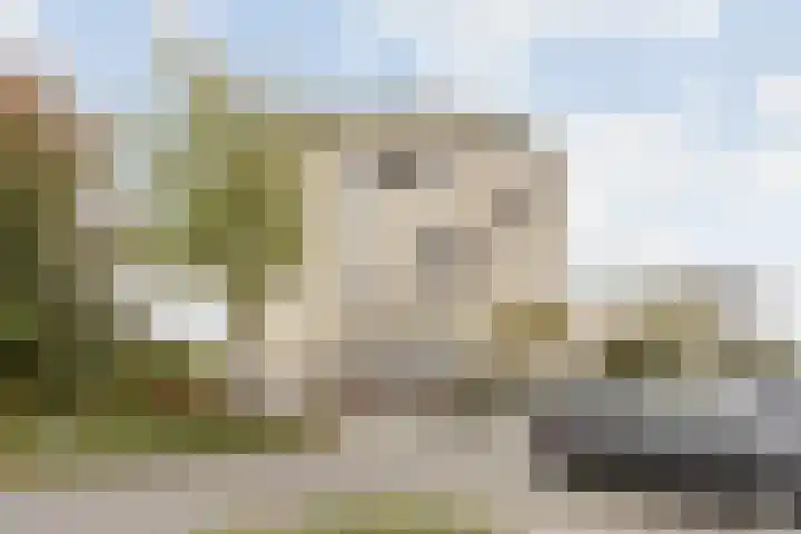 Poortugaalstraat 156 Zoetermeer thumbnail 34