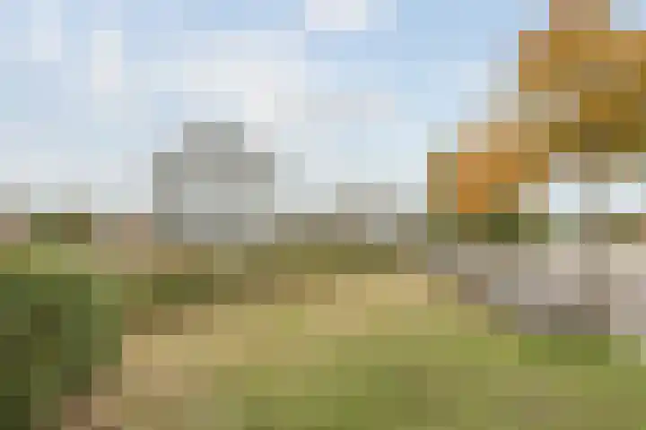 Poortugaalstraat 156 Zoetermeer thumbnail 38