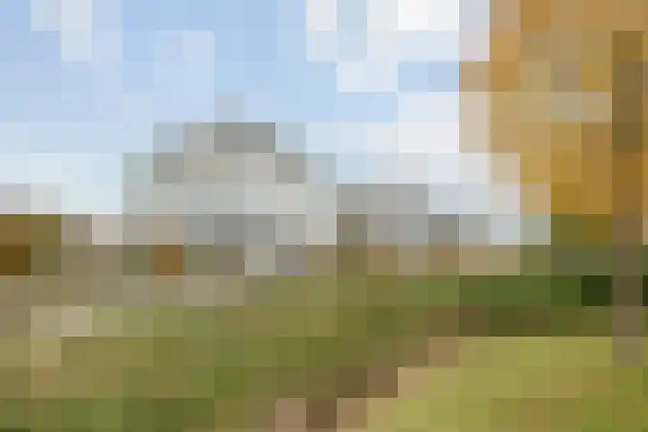 Poortugaalstraat 156 Zoetermeer thumbnail 39