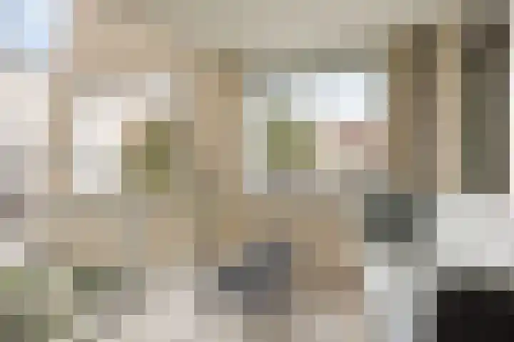 Poortugaalstraat 156 Zoetermeer thumbnail 5