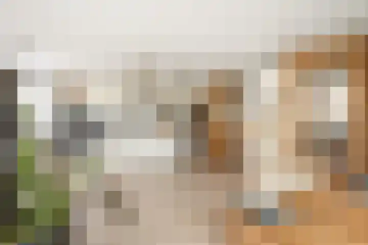 Poortugaalstraat 156 Zoetermeer thumbnail 8