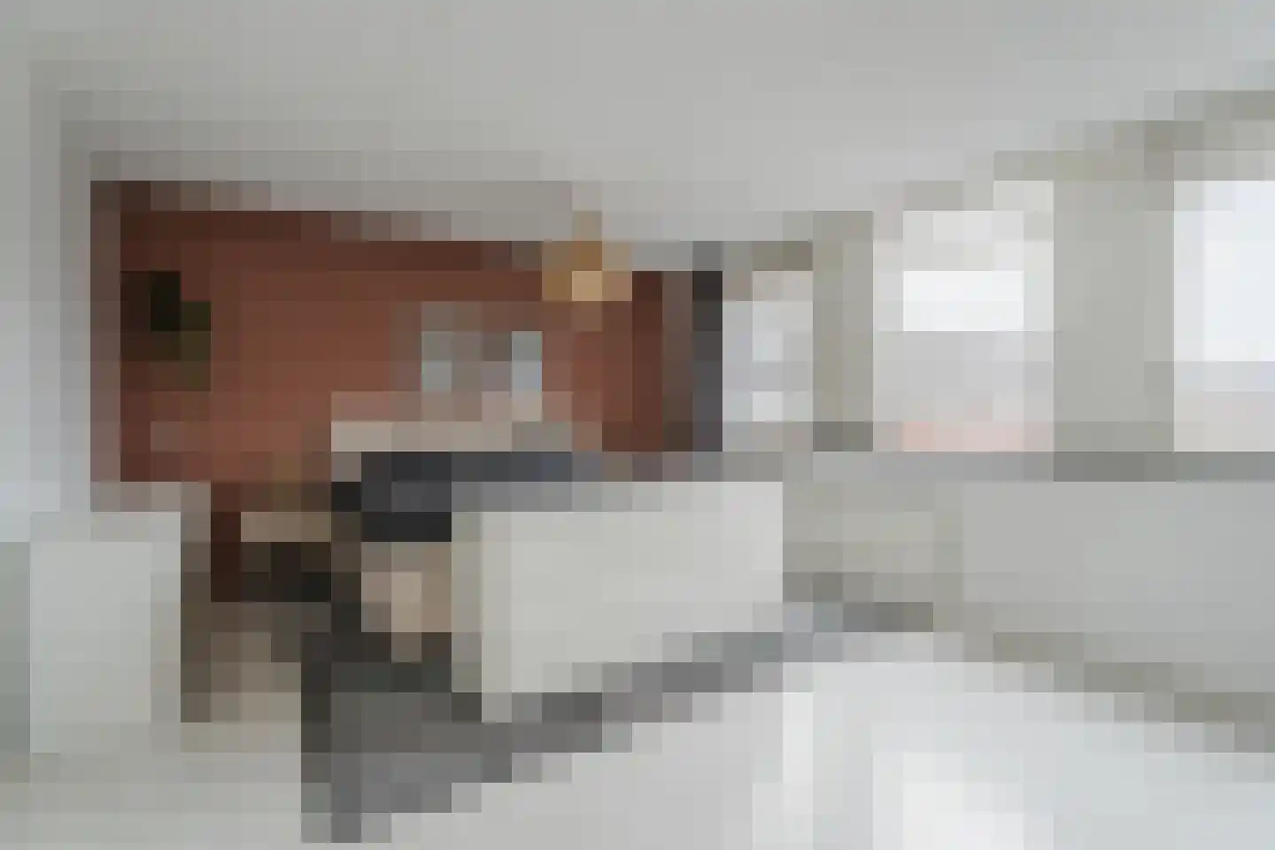 Poortugaalstraat 23 Zoetermeer thumbnail 14