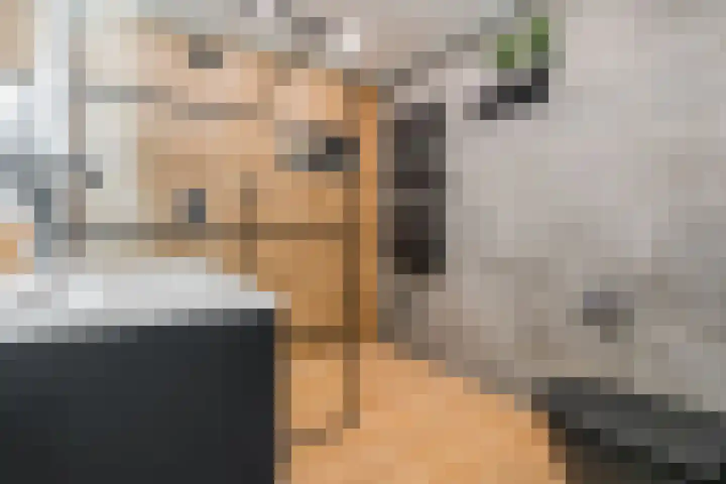 Poortugaalstraat 23 Zoetermeer thumbnail 18