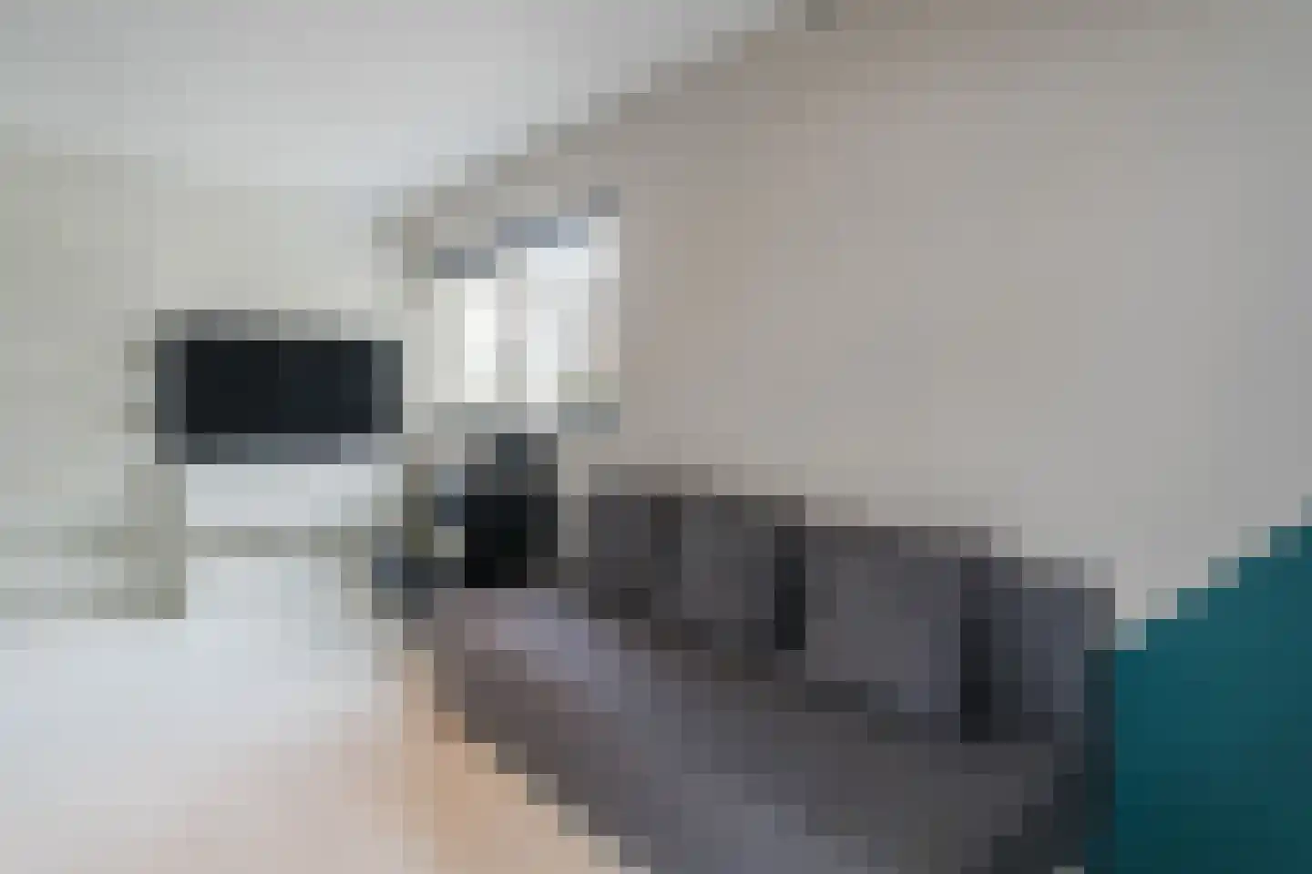 Poortugaalstraat 23 Zoetermeer thumbnail 22