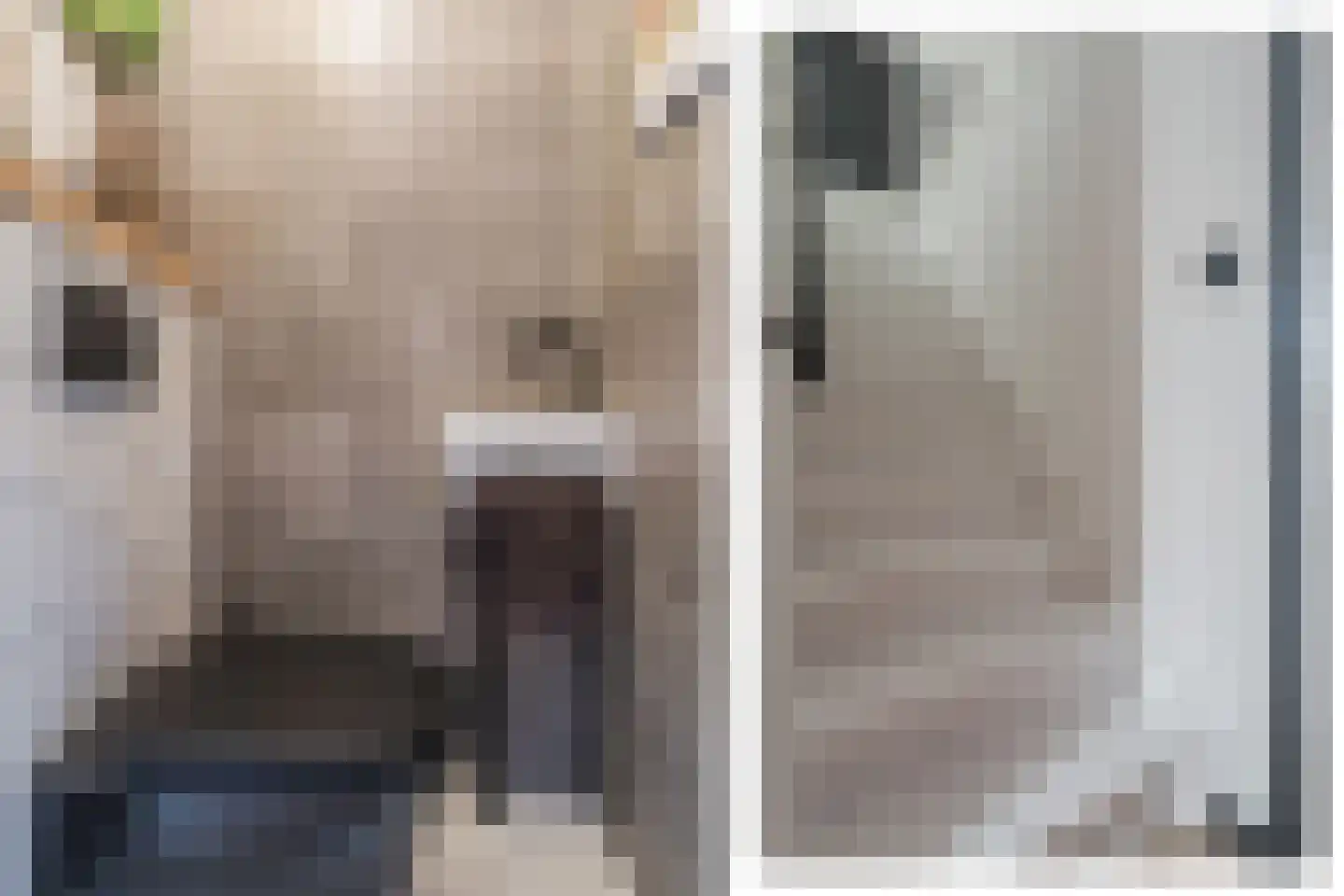 Poortugaalstraat 23 Zoetermeer thumbnail 4