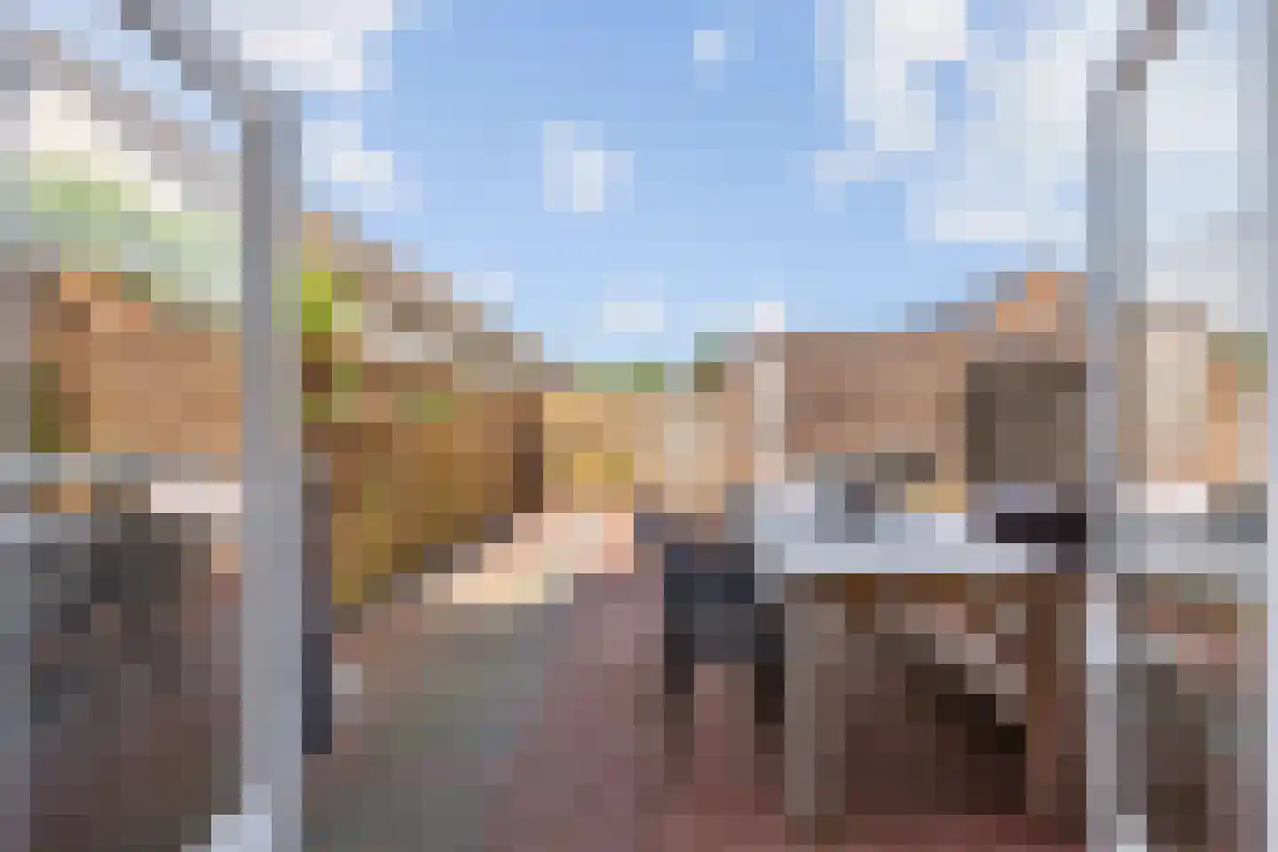 Poortugaalstraat 25 Zoetermeer thumbnail 30
