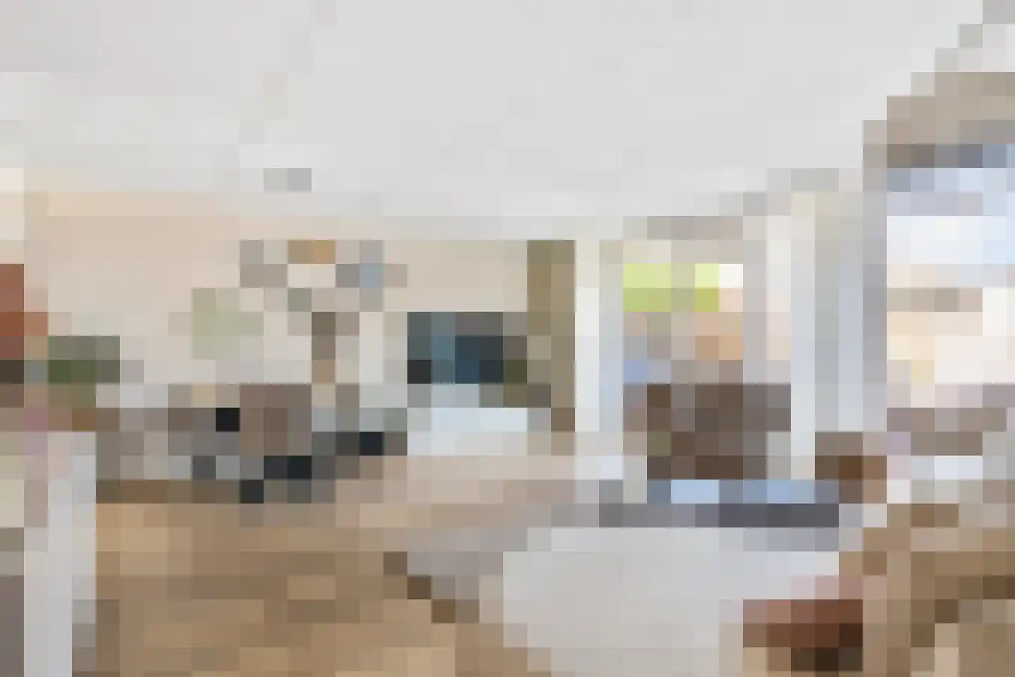 Poortugaalstraat 25 Zoetermeer thumbnail 4