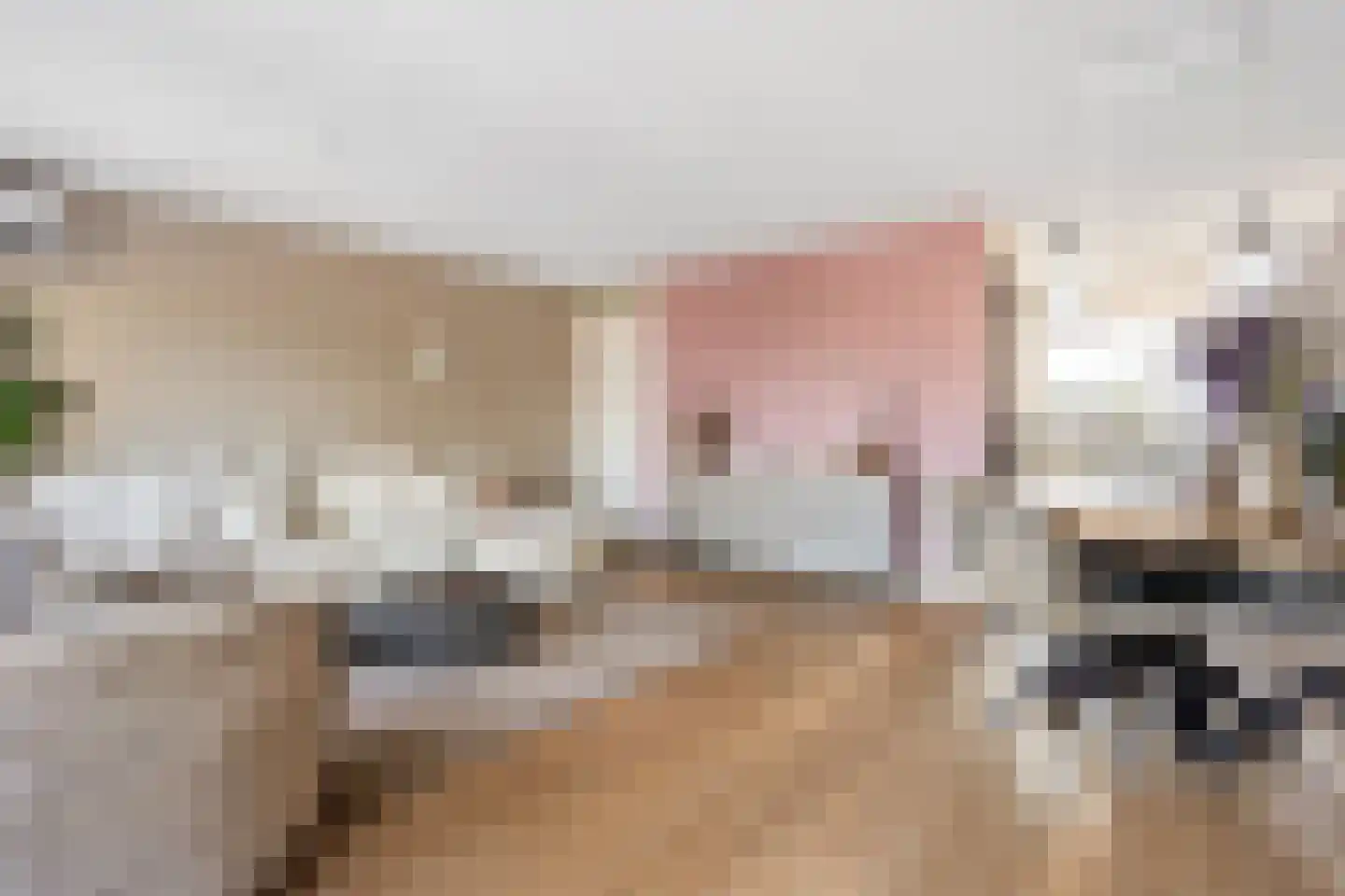 Poortugaalstraat 25 Zoetermeer thumbnail 5