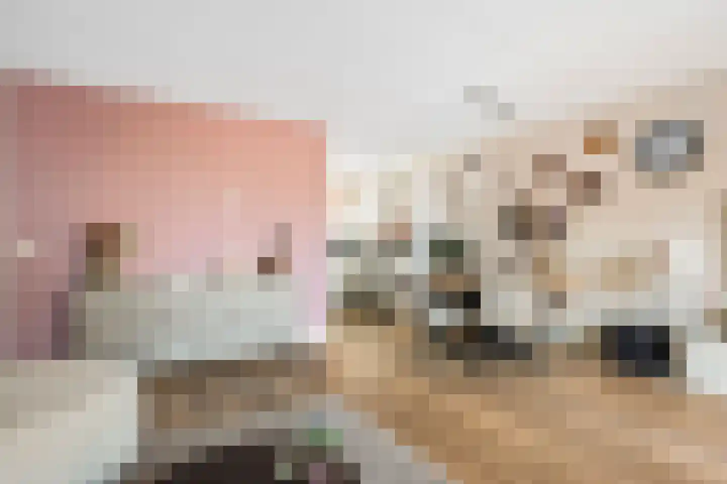 Poortugaalstraat 25 Zoetermeer thumbnail 7