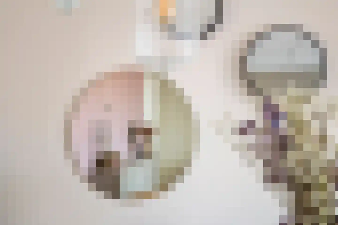 Poortugaalstraat 25 Zoetermeer thumbnail 8