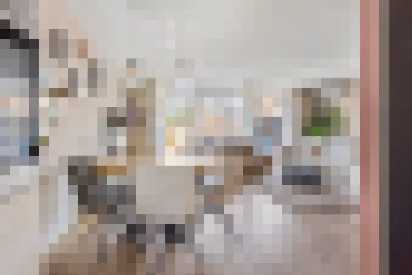 Poortugaalstraat 25 Zoetermeer thumbnail 9