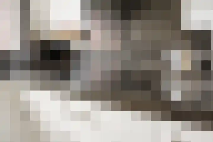 Poortugaalstraat 27 Zoetermeer thumbnail 12