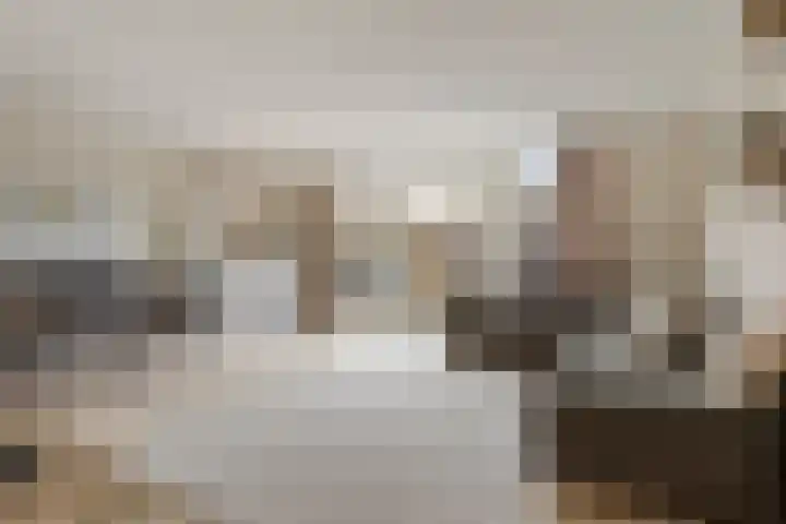 Poortugaalstraat 27 Zoetermeer thumbnail 6