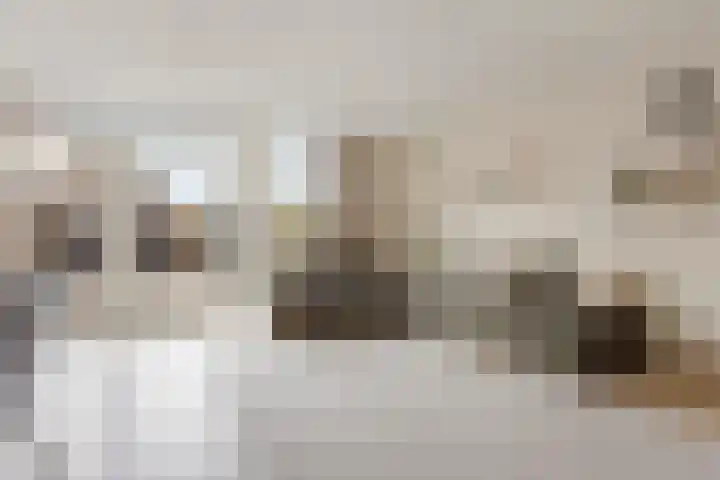 Poortugaalstraat 27 Zoetermeer thumbnail 7