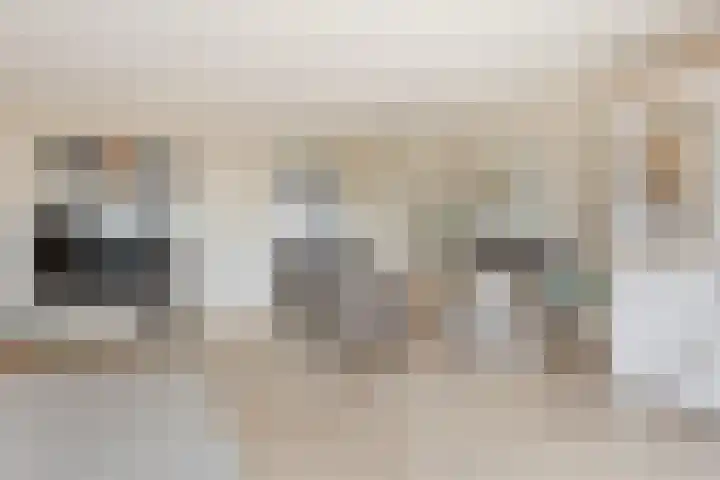 Poortugaalstraat 27 Zoetermeer thumbnail 9