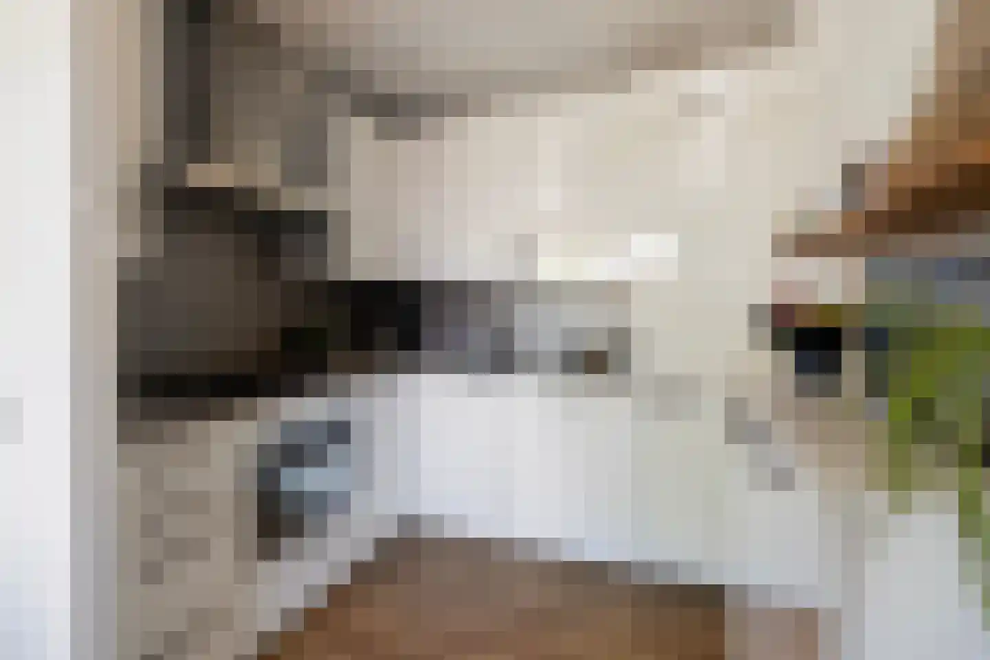 Poortwacht 101 Leiderdorp thumbnail 11