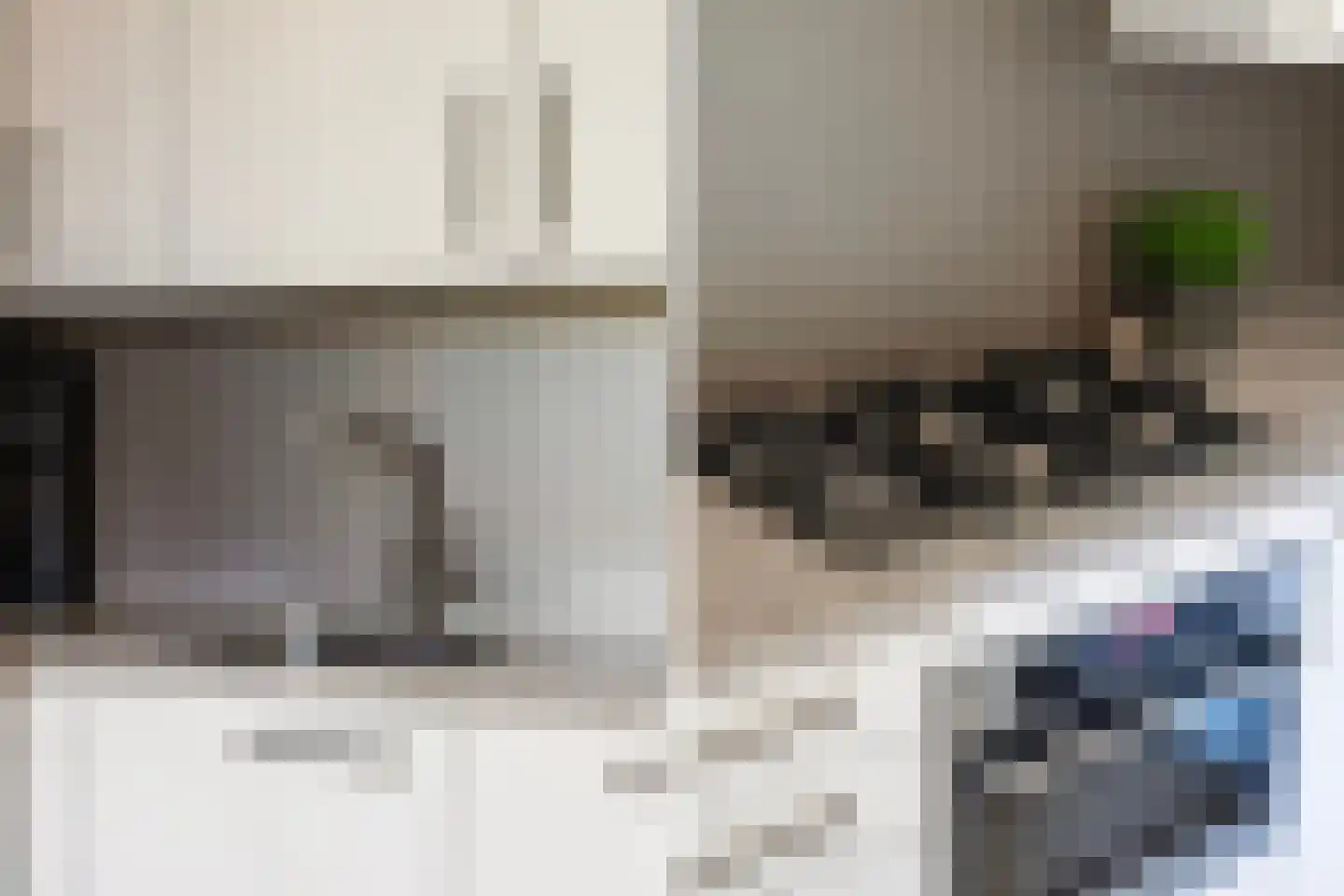 Poortwacht 101 Leiderdorp thumbnail 14