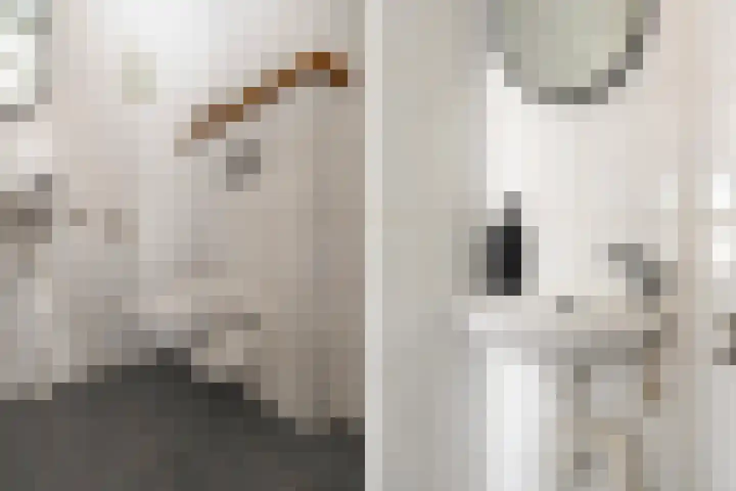 Poortwacht 101 Leiderdorp thumbnail 16