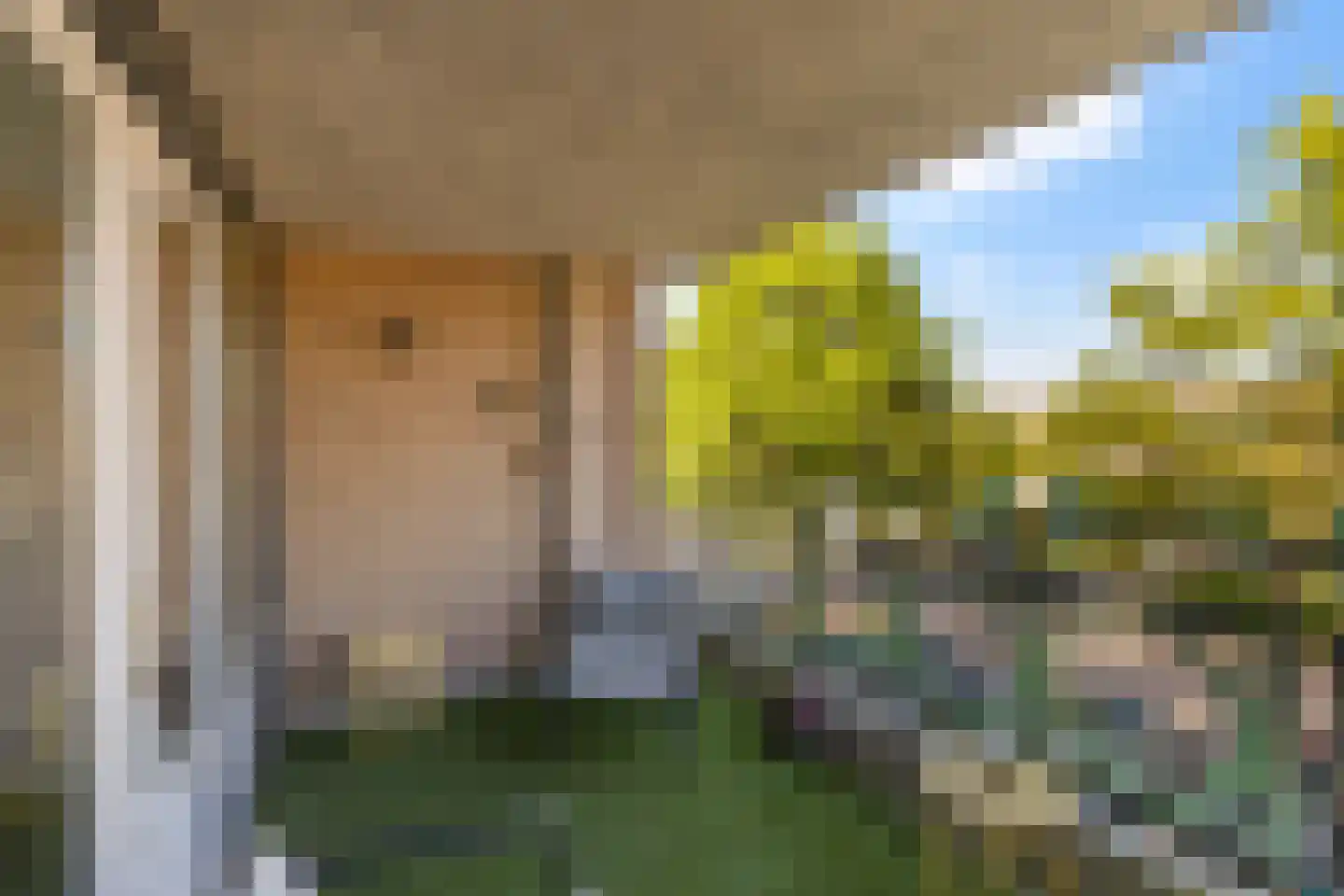 Poortwacht 101 Leiderdorp thumbnail 23