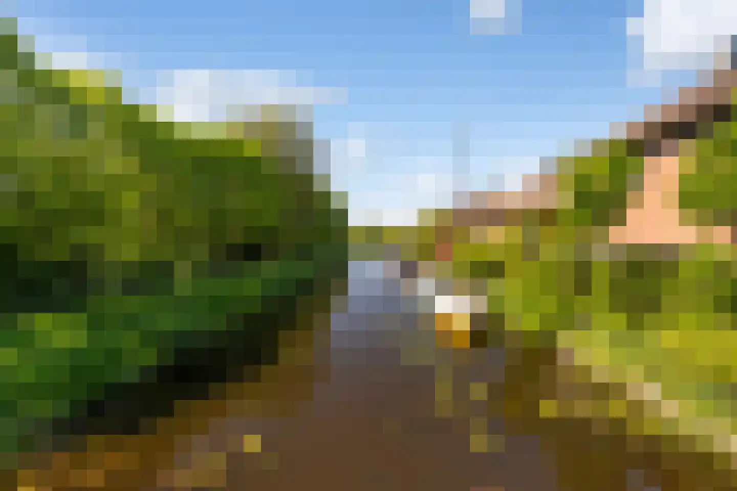 Poortwacht 101 Leiderdorp thumbnail 29