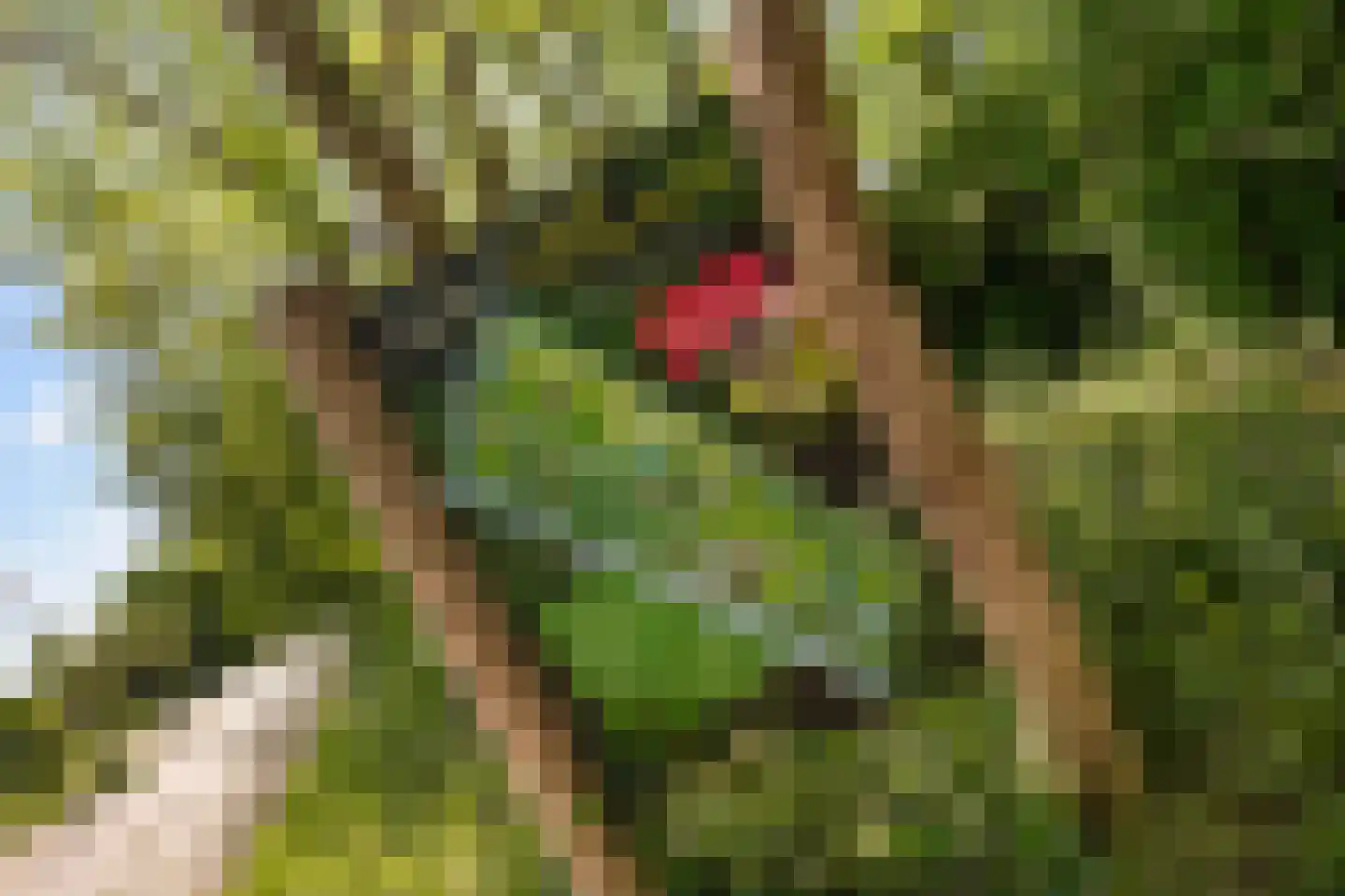 Poortwacht 101 Leiderdorp thumbnail 30