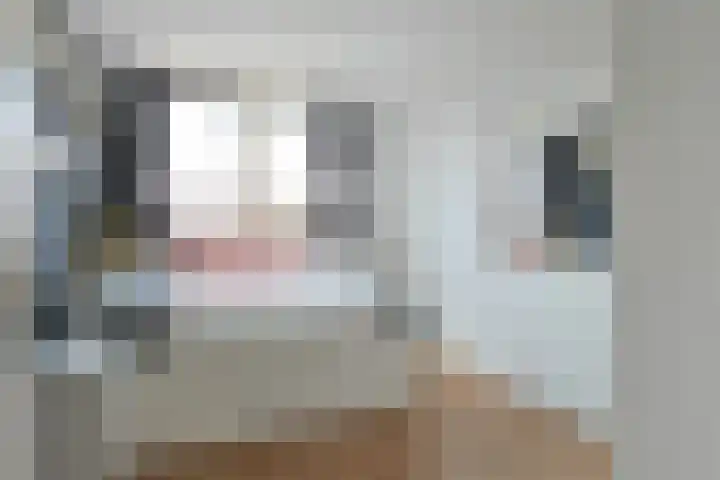 Poortwacht 129 Leiderdorp thumbnail 19