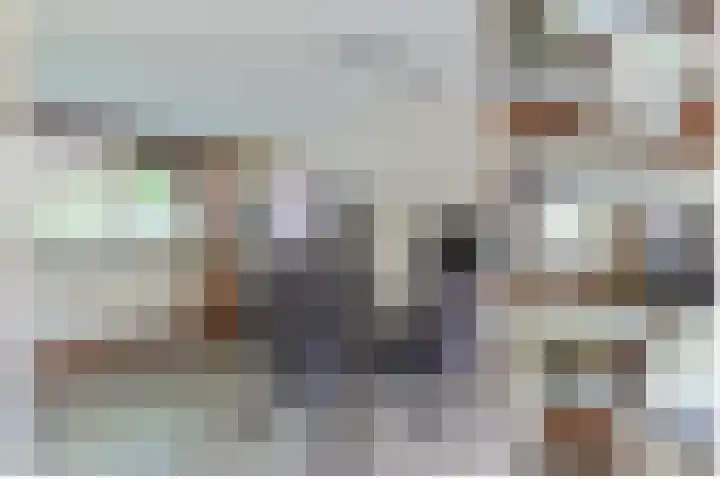 Poortwacht 129 Leiderdorp thumbnail 5