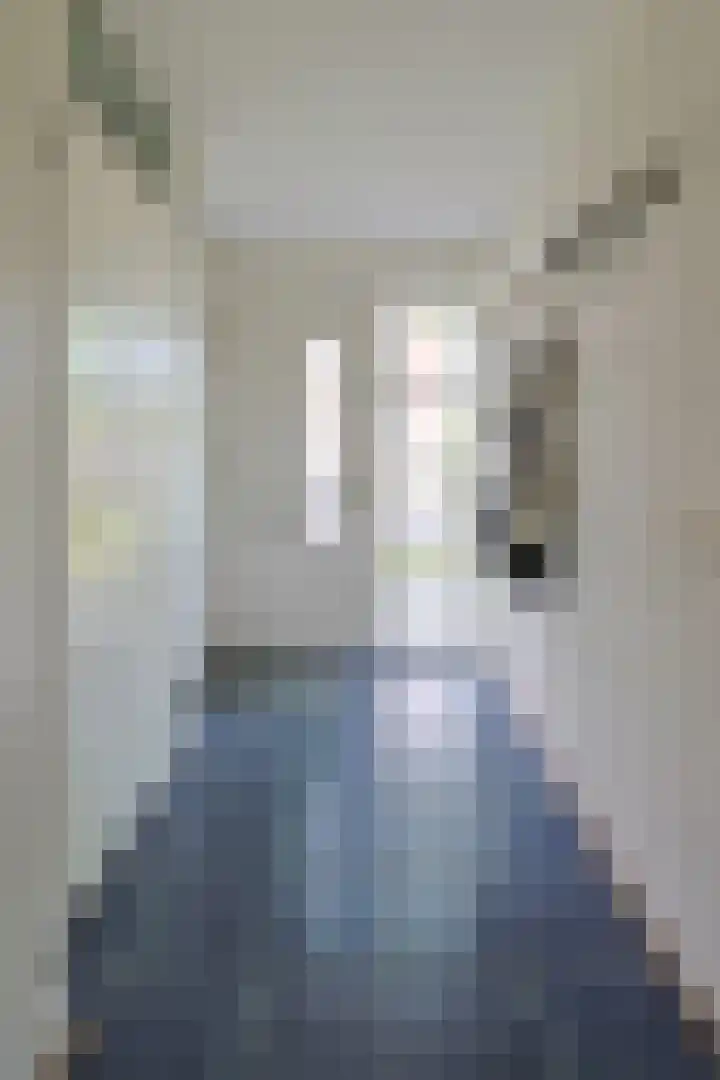 Poortwacht 129 Leiderdorp thumbnail 7