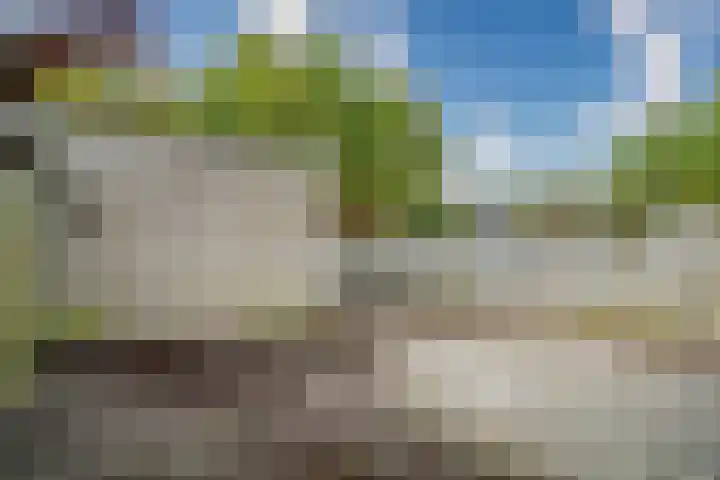 Poortwacht 134 Leiderdorp thumbnail 13