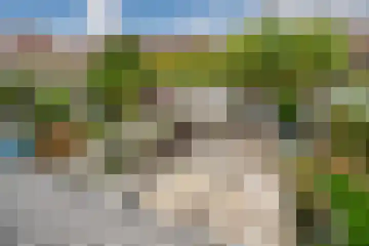 Poortwacht 134 Leiderdorp thumbnail 35