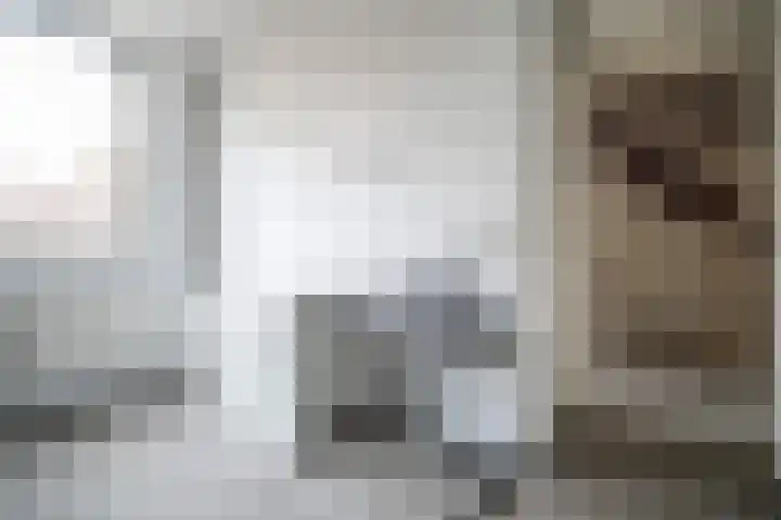 Poortwacht 134 Leiderdorp thumbnail 38