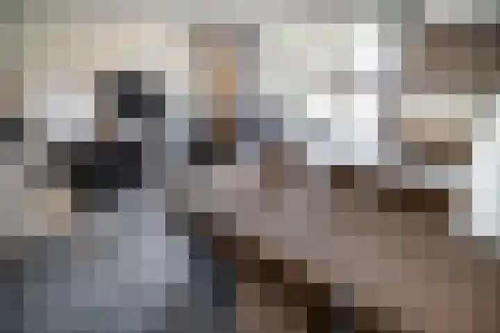 Poortwacht 134 Leiderdorp thumbnail 6