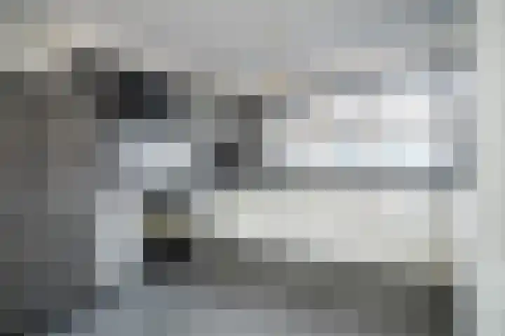 Poortwacht 134 Leiderdorp thumbnail 8