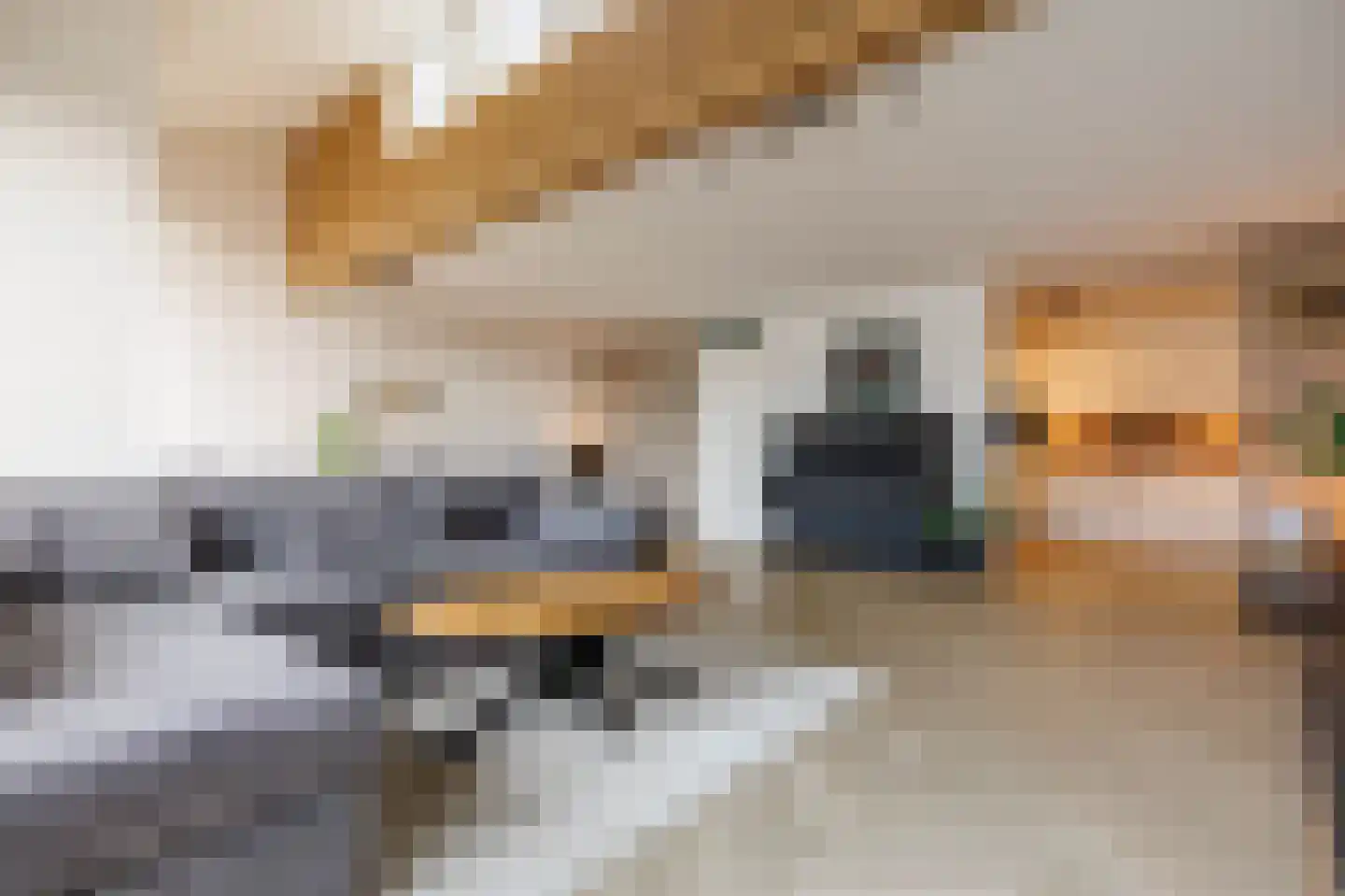 Poortwacht 147 Leiderdorp thumbnail 5