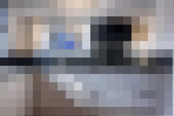 Poortwacht 48 Leiderdorp thumbnail 12