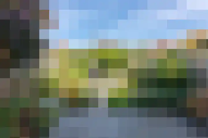 Poortwacht 48 Leiderdorp thumbnail 15