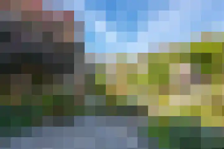Poortwacht 48 Leiderdorp thumbnail 16