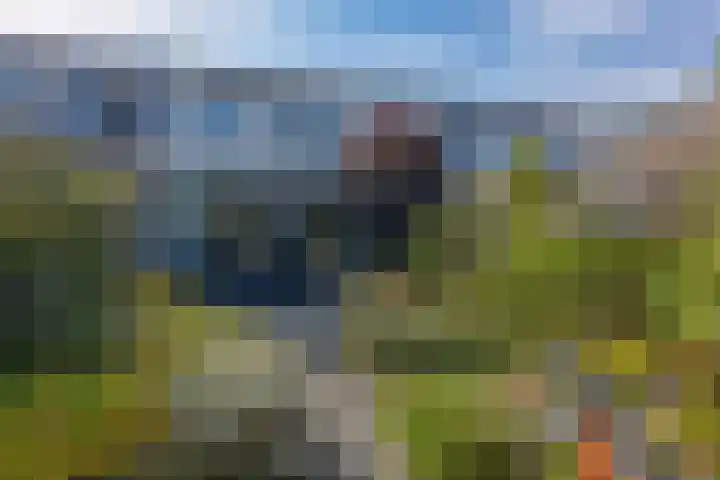 Poortwacht 48 Leiderdorp thumbnail 18