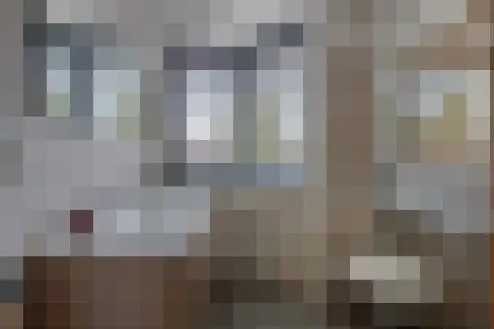 Poortwacht 48 Leiderdorp thumbnail 23