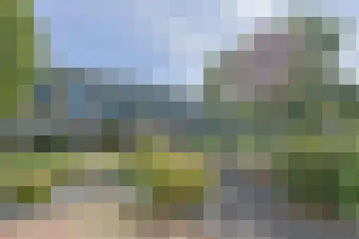 Poortwacht 56 Leiderdorp thumbnail 22