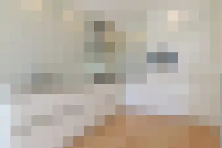Poortwacht 56 Leiderdorp thumbnail 4