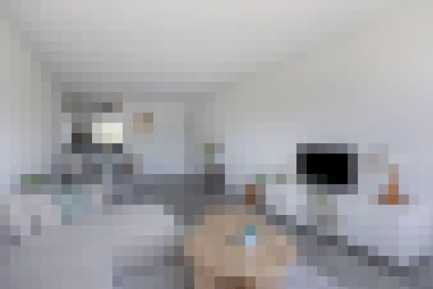 Poortwachter 100 Alphen aan den Rijn thumbnail 14