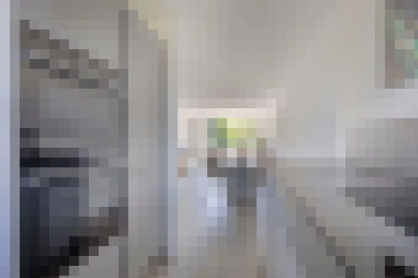 Poortwachter 100 Alphen aan den Rijn thumbnail 16