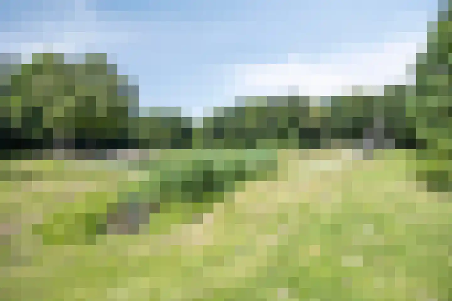 Poortwachter 100 Alphen aan den Rijn thumbnail 30